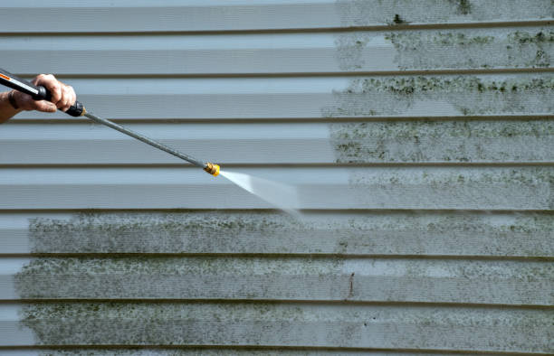 Best Fence Pressure Washing  in Inglis, FL